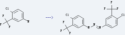 5-Amino-2-chlorobenzotrifluoride is used to produce 1,3-bis(4-chloro-3-(trifluoromethyl)phenyl)triazene.